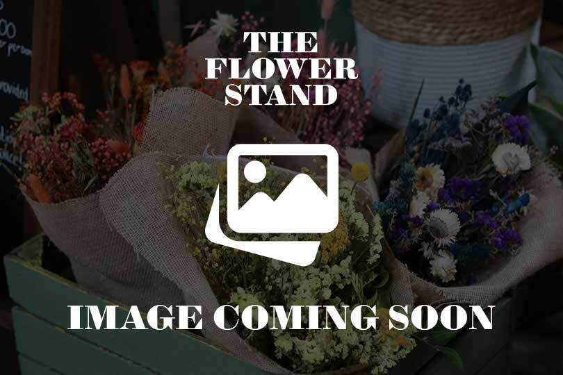 The White One (Bouquet)