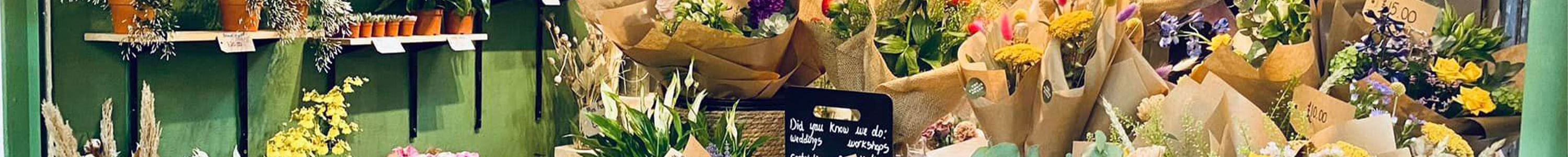 Banner Image 3000 x 800